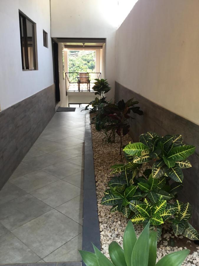 Отель Brand New House Alajuela Near The Airpor Экстерьер фото